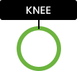 Knee